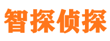 眉县外遇出轨调查取证